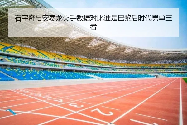 石宇奇与安赛龙交手数据对比谁是巴黎后时代男单王者 - wpk wepoker
