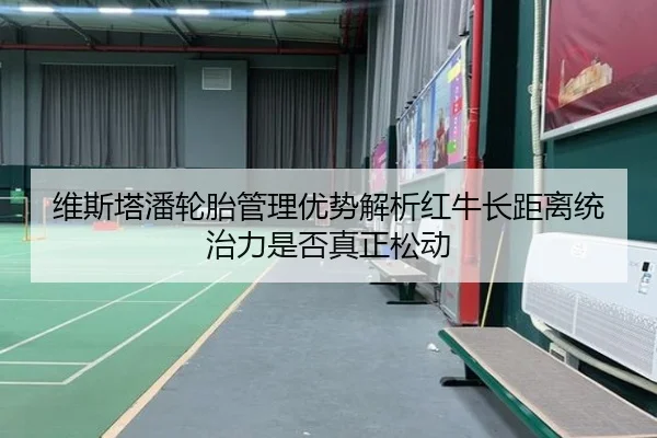 维斯塔潘轮胎管理优势解析红牛长距离统治力是否真正松动 | wpk wepoker